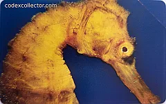 L'atollo e i suoi abitanti - Cavallo Marino Arancione (€ 2,50)