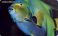 L'atollo e i suoi abitanti - Pesce Angelo Regina (€ 2,50)