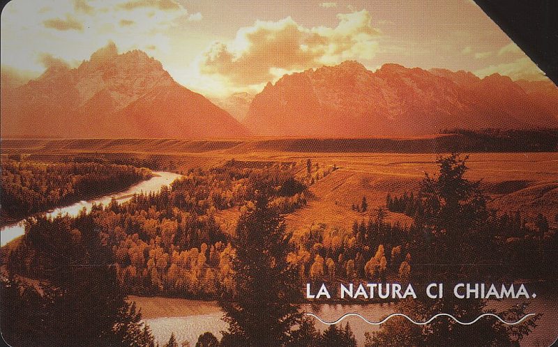 La natura ci chiama - Grand Teton