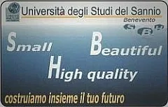 Università Degli Studi Del Sannio