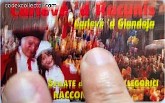 Carnevale Di Racconigi