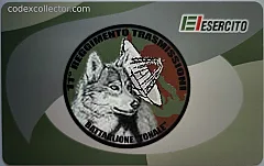 Esercito - Battaglione Tonale
