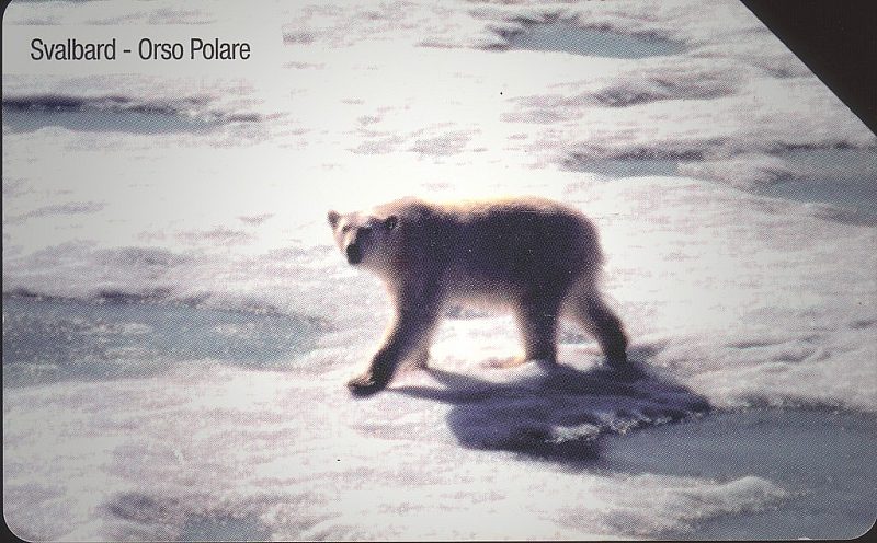 Associazione Grande Nord - Orso Polare