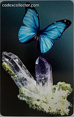 A.C.C.C.I. 2006