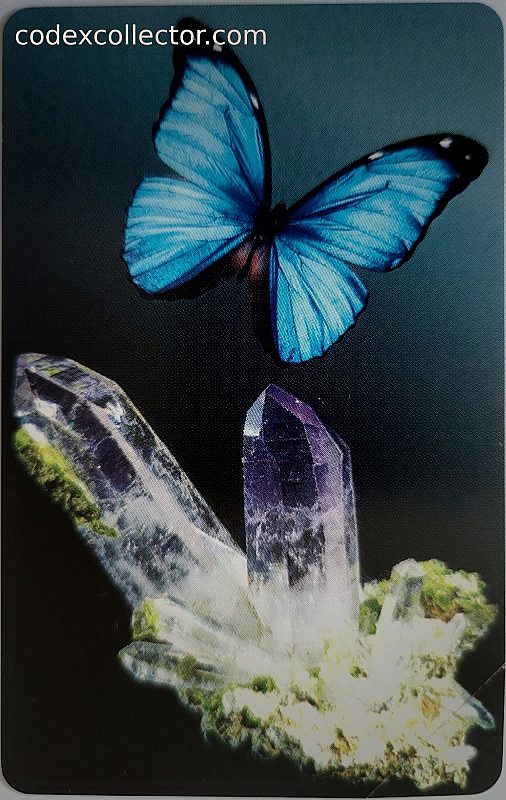 A.C.C.C.I. 2006