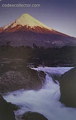 Lingue Di Fuoco - Osorno