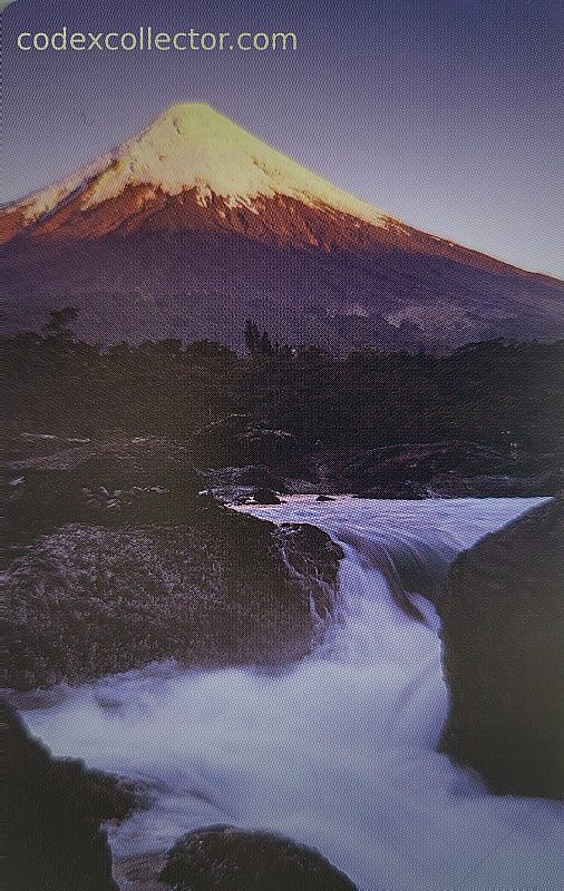Lingue Di Fuoco - Osorno