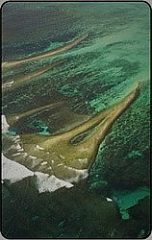 Lingue Di Terra - Australia