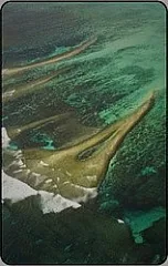 Lingue Di Terra - Australia