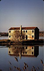 Parco Regionale Veneto Del Delta Del Po - Veneto