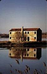 Parco Regionale Veneto Del Delta Del Po - Veneto