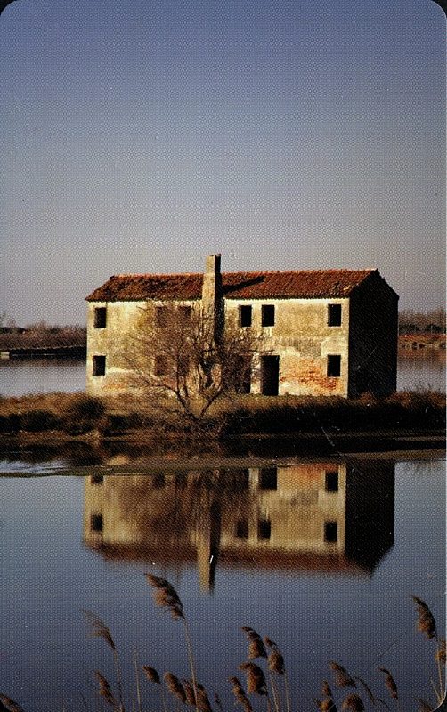 Parco Regionale Veneto Del Delta Del Po - Veneto