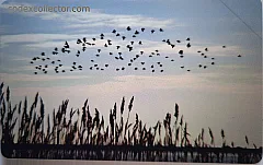 Parco Del Delta Del Po - Emilia Romagna