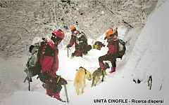 VVFF - Unità cinofile, ricerca dispersi