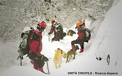 VVFF - Unità cinofile, ricerca dispersi