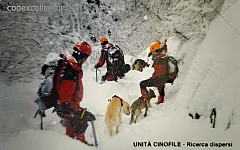 VVFF - Unità cinofile, ricerca dispersi (€ 3)