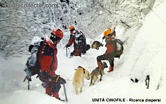 VVFF - Unità cinofile, ricerca dispersi (€ 3)