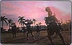 Intercampus - Cuba