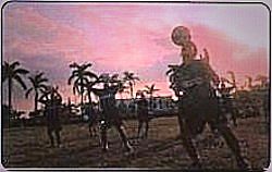 Intercampus - Cuba