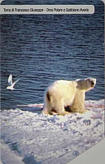 Associazione Grande Nord - Orso Polare e Gabbiano Avorio