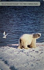 Associazione Grande Nord - Orso Polare e Gabbiano Avorio (€ 3)