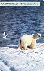Associazione Grande Nord - Orso Polare e Gabbiano Avorio (€ 3)
