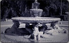 VILLA BORGHESE - Fontana dei Cavalli Marini
