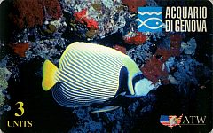 Acquario di Genova - Pesce Marino (DUMMY)