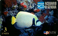 Acquario di Genova - Pesce Marino (DUMMY)