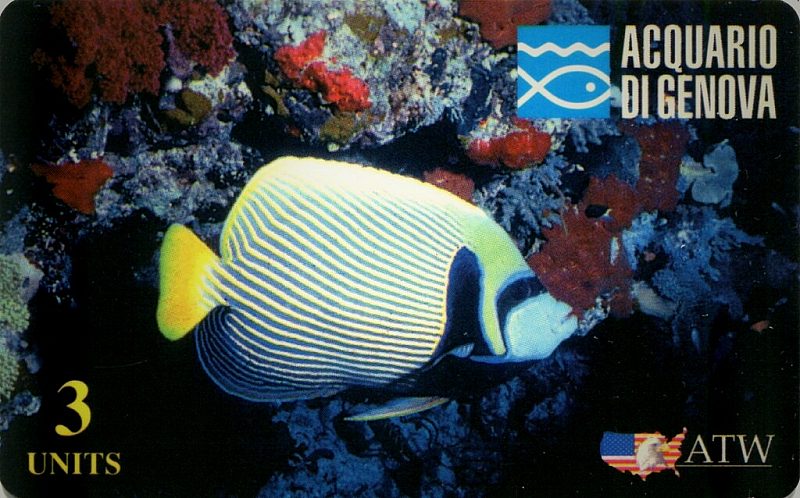 Acquario di Genova - Pesce Marino (DUMMY)