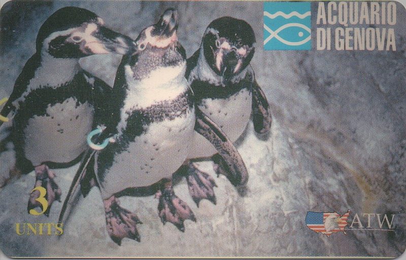 Acquario di Genova - Pinguini (DUMMY)