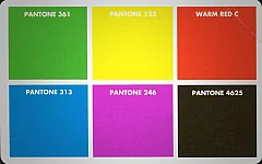 Prova Pantone - Formula UNO (Technicard)