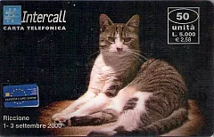 Europa Card Show 2000 (DUMMY)
