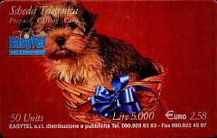 EasyTel - Dog (DUMMY)