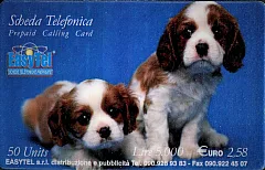 EasyTel - Dogs (DUMMY)