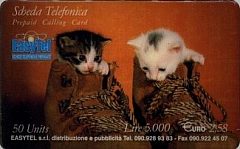 EasyTel - Cats (DUMMY)