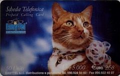 EasyTel - Cats (DUMMY)