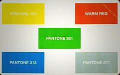 Prova Pantone - Disney (Pikappa)