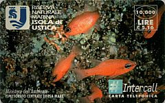 Isola di Ustica (DUMMY)
