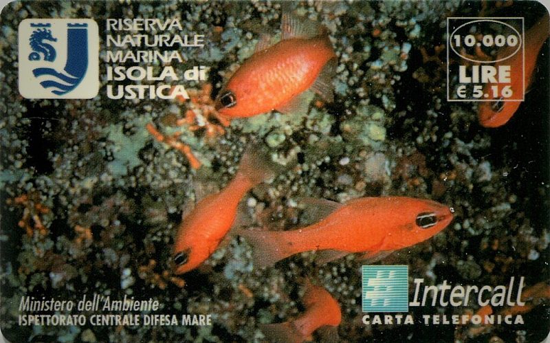 Isola di Ustica (DUMMY)