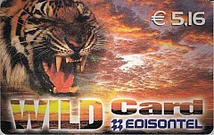 Wild Card (DUMMY)
