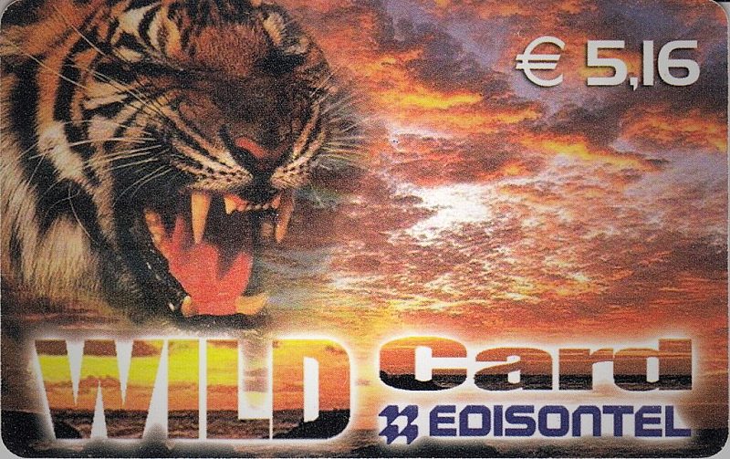 Wild Card (DUMMY)