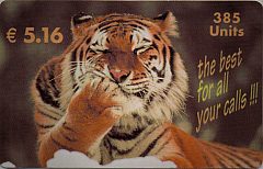 Tiger - The best for all your calls! (DUMMY)