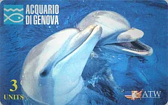 Acquario di Genova 1ª Serie - Delfini