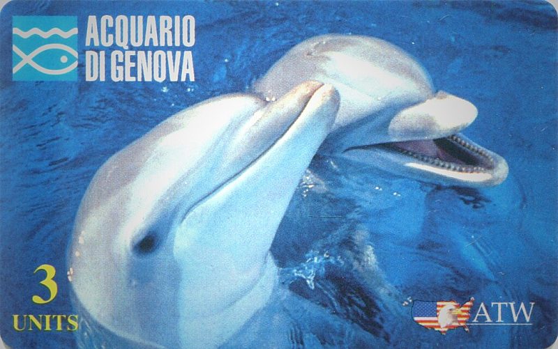 Acquario di Genova 1ª Serie - Delfini