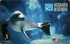 Acquario di Genova 1ª Serie - Foca