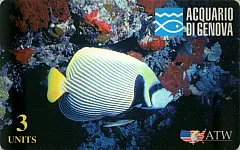 Acquario di Genova 1ª Serie - Pesce Marino
