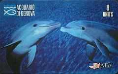 Acquario di Genova 2ª Serie - Delfini