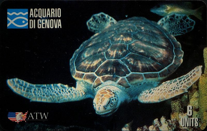 Acquario di Genova 2ª Serie - Tartaruga