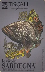 Io vivo in Sardegna - Cernia bruna